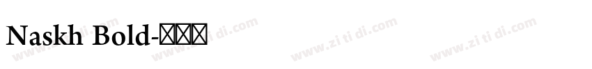 Naskh Bold字体转换